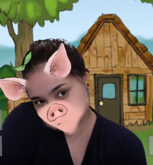 pig 2 jas 2