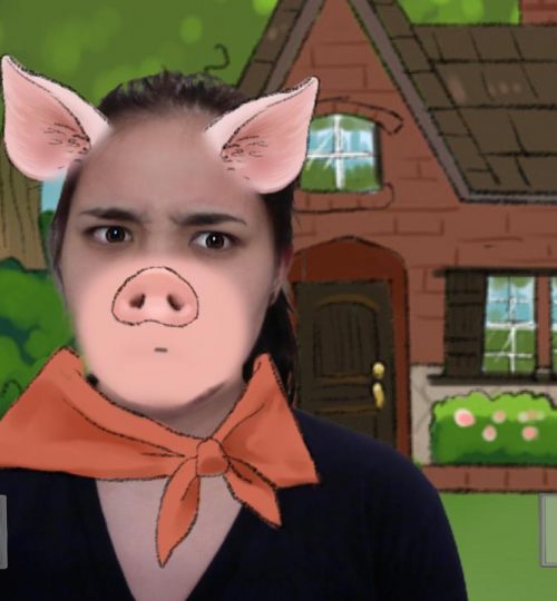 pig 3 jas 2